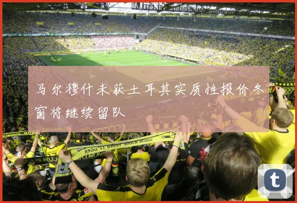 马尔穆什未获土耳其实质性报价冬窗将继续留队